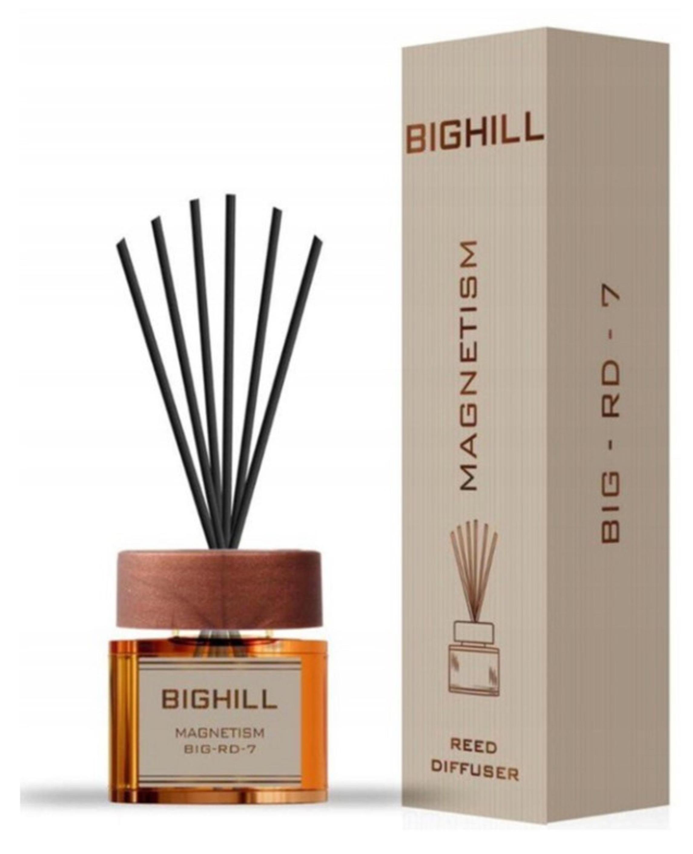 EYFEL Hausduft Bighill Magnetismus, 120 ml - Hausduft Bighill Magnetismus Big-Rd-7