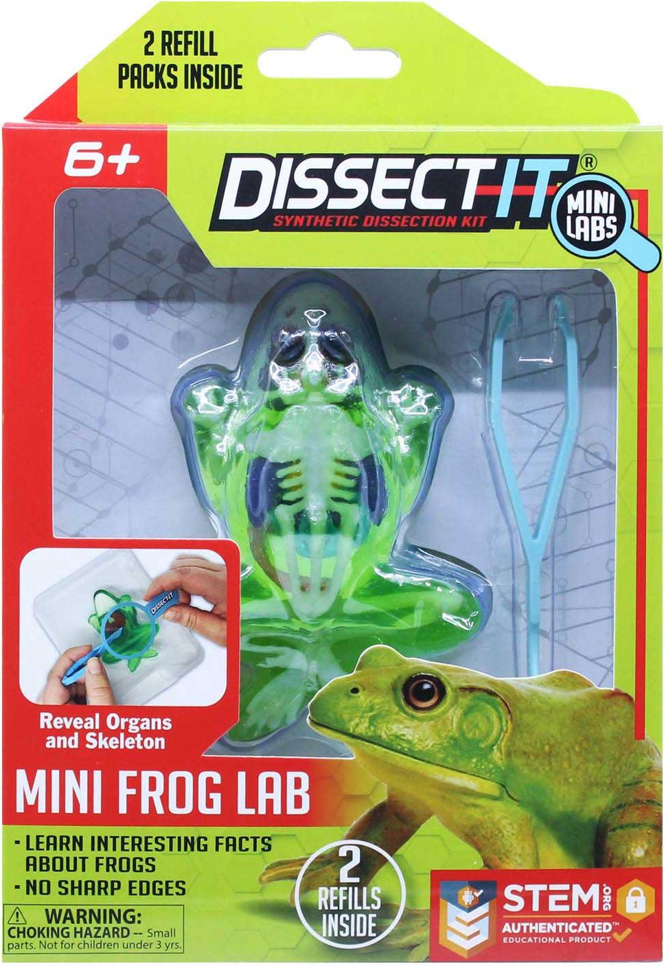 Joker DISSECT-IT: Einen Frosch mit einer Lupe sezieren