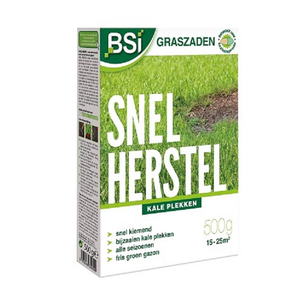 Bsi Grassamen, schnelle Erholung, 500 g SE-GAZ-01005