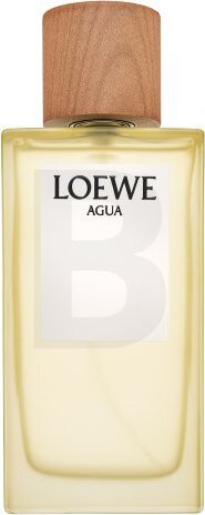 Herrenparfum Agua Loewe edt (150 ml) 60285941