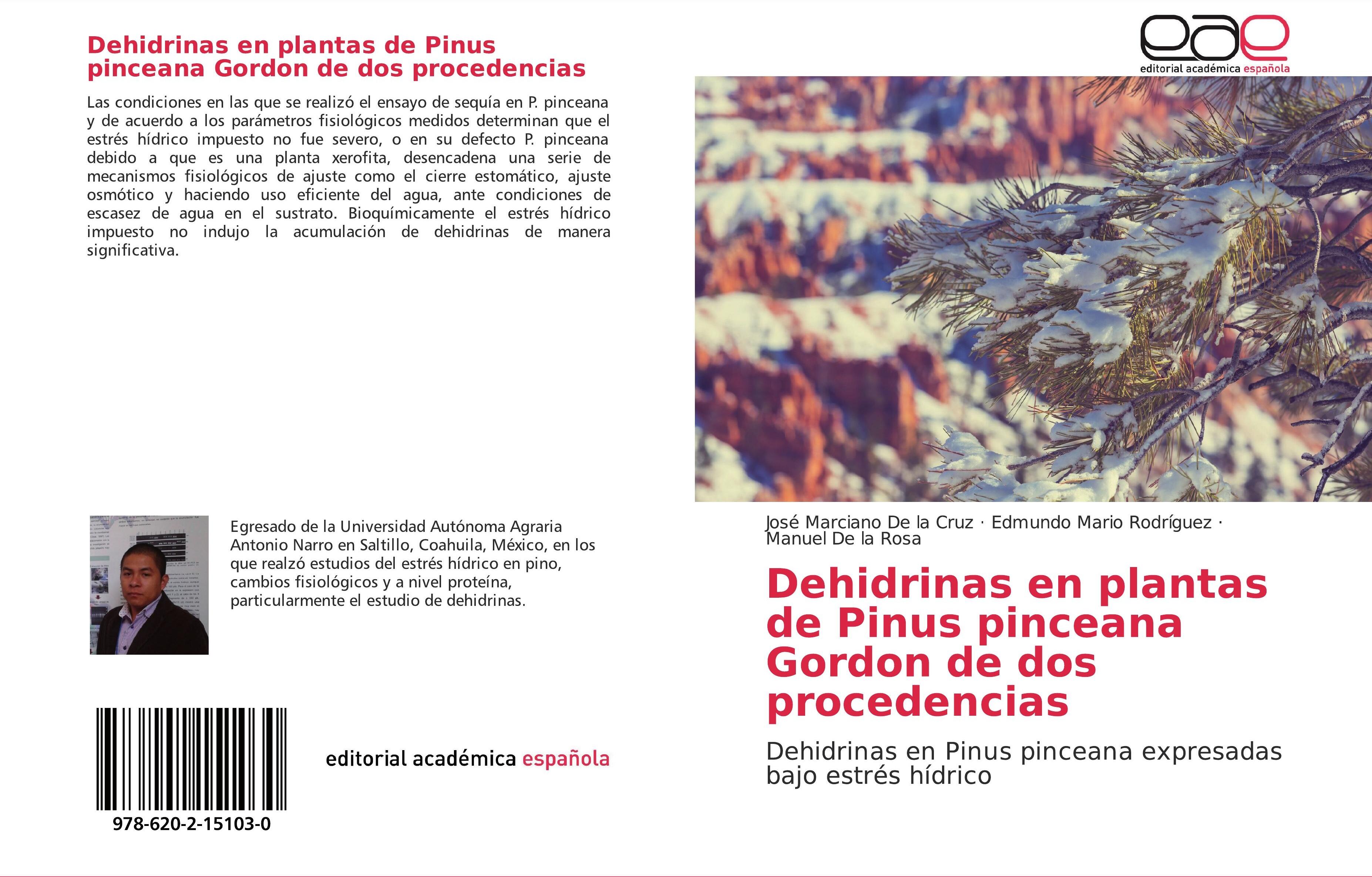 Sonstige Verlage Dehidrinas en plantas de Pinus pinceana Gordon de dos procedencias