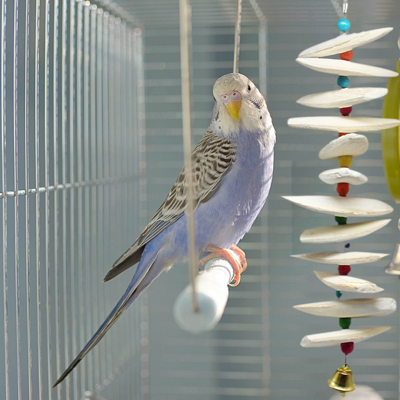 Vogelfutterhalter Mit Tintenfischknochen - Praktischer Fütterungsständer Für Papageienkäfig