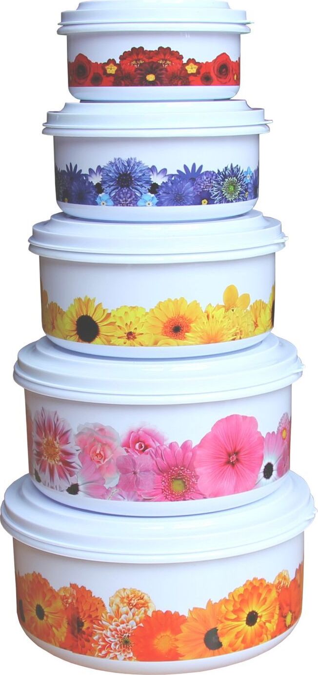 Buri Vorratsdosen 5er-Set Mikrowellendosen Frischhaltedosen Aufbewahrungsdosen Dosen