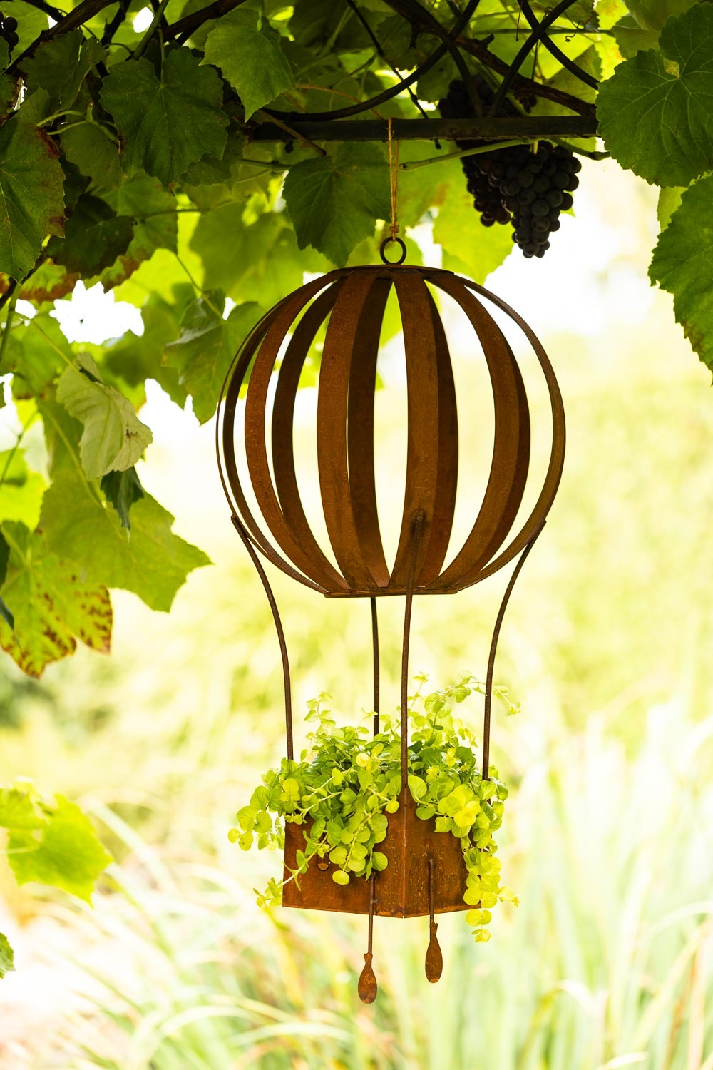 Bornhöft Rustikaler Hängekorb aus Edelrost, Heißluftballon-Design, XXL Größe Ballonfahrer Blumenampel Pflanzkorb Hängekorb Hängeampel Ampel Pflanzkorb Gartende Heissluftballon