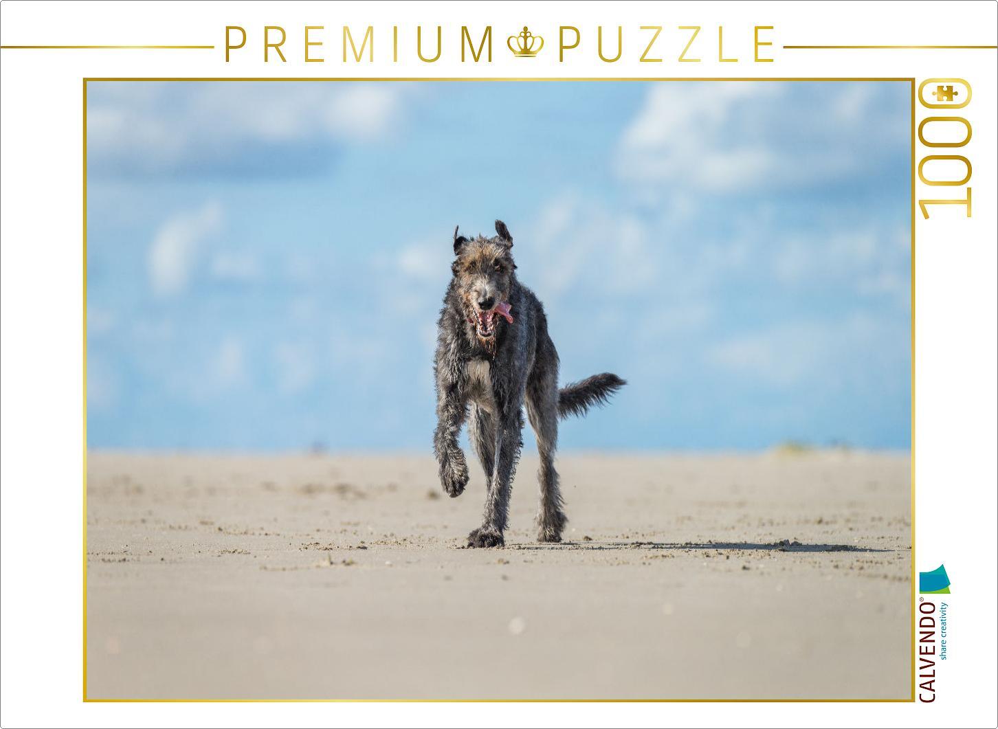 CALVENDO Puzzle Irischer Wolfshund hat Spaß am Strand | 1000 Teile Lege-Größe 64x48cm Foto-Puzzle für glückliche Stunden