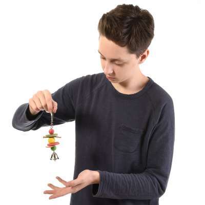 Lilliput - Drevené hračky pre všetky papagáje