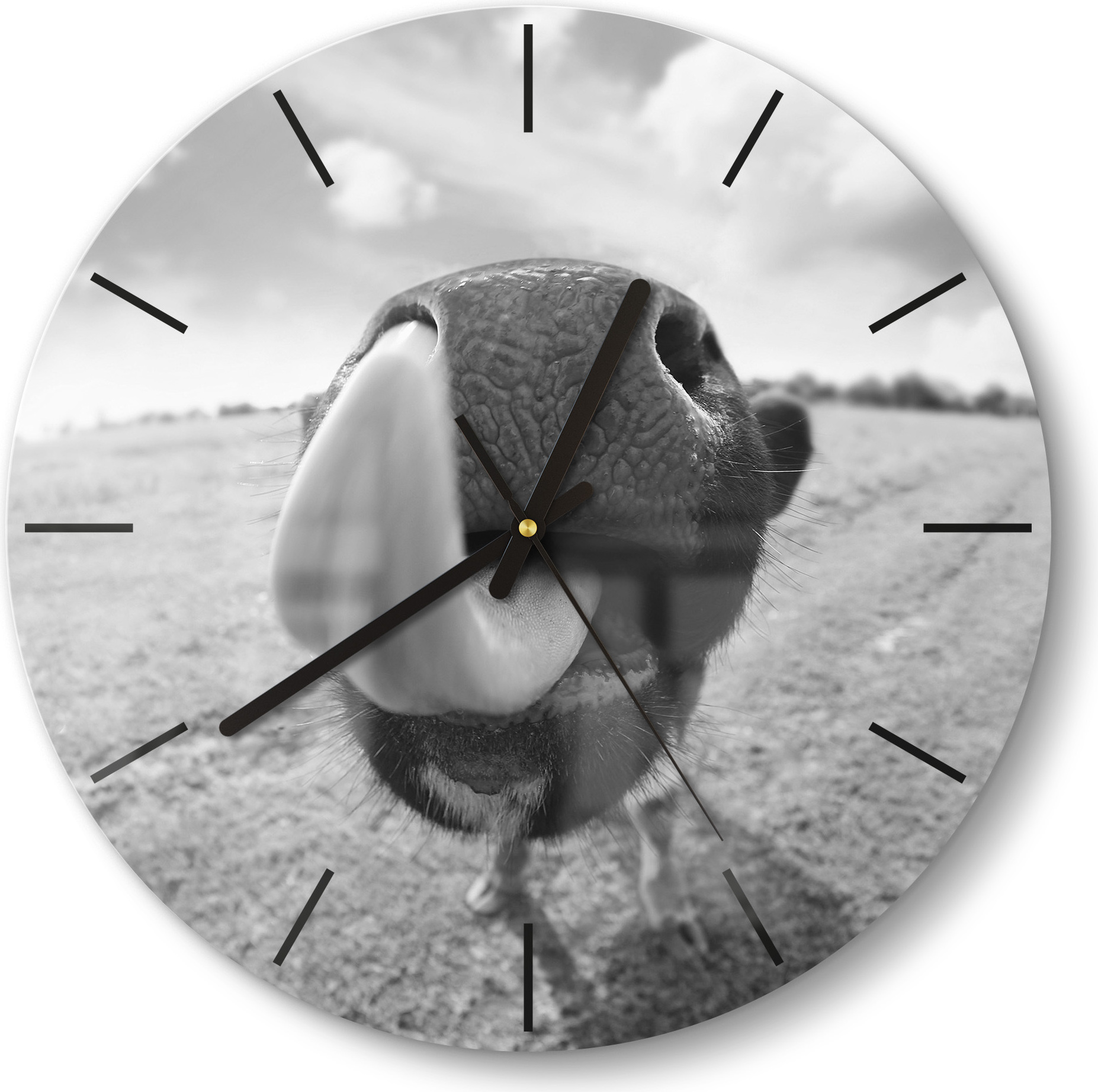 DEQORI Glasuhr Ø30 cm Modern 'Kuriose Kuh' Wanduhr Glas Uhr Design leise Küchenuhr WC-D30-M-3272