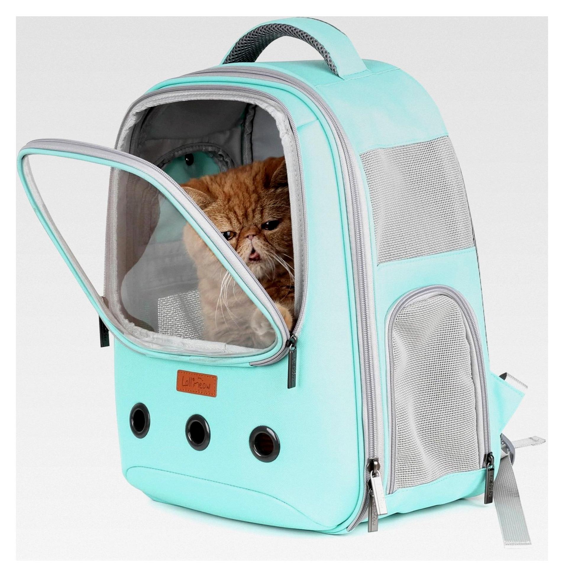 Markenlos Katzen- und Hunderucksack für kleine Tiere - Fluggesellschaften zugelassen, grün