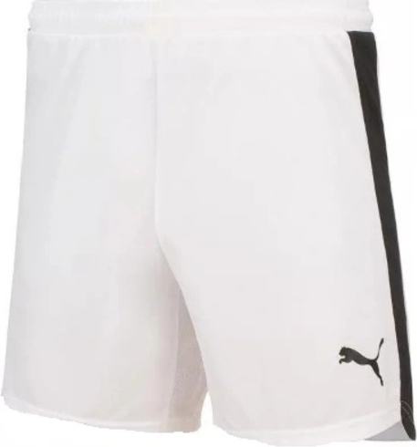 Shorts Herrenshorts Puma EvoSpeed Indor 701607 04