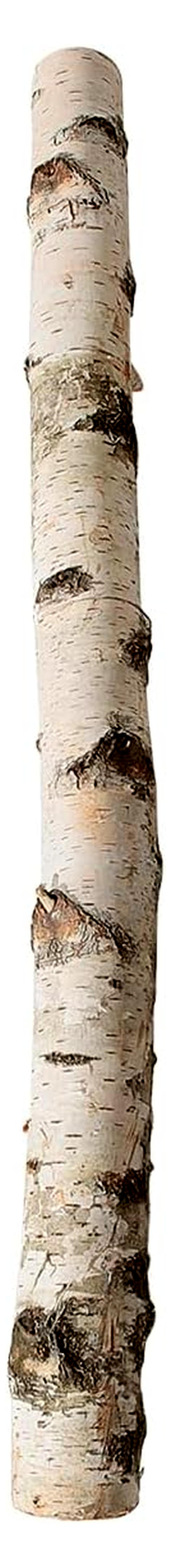 Markenlos Birkenstamm Deko-Stamm 100 cm lang 6-10 cm Ø