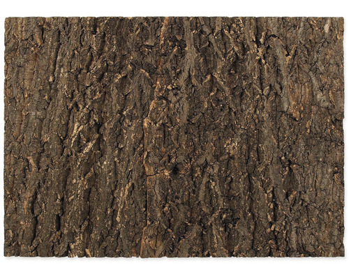 Repti Planet Kork-Rückwand 58.5x41x2cm, Holz, 1 Stück(e), 190 mm, 20 mm, 270 mm 007-54033