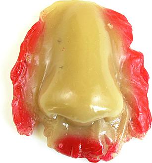 Unbekannt Abgetrennte Nase im Blut 1 Stk.