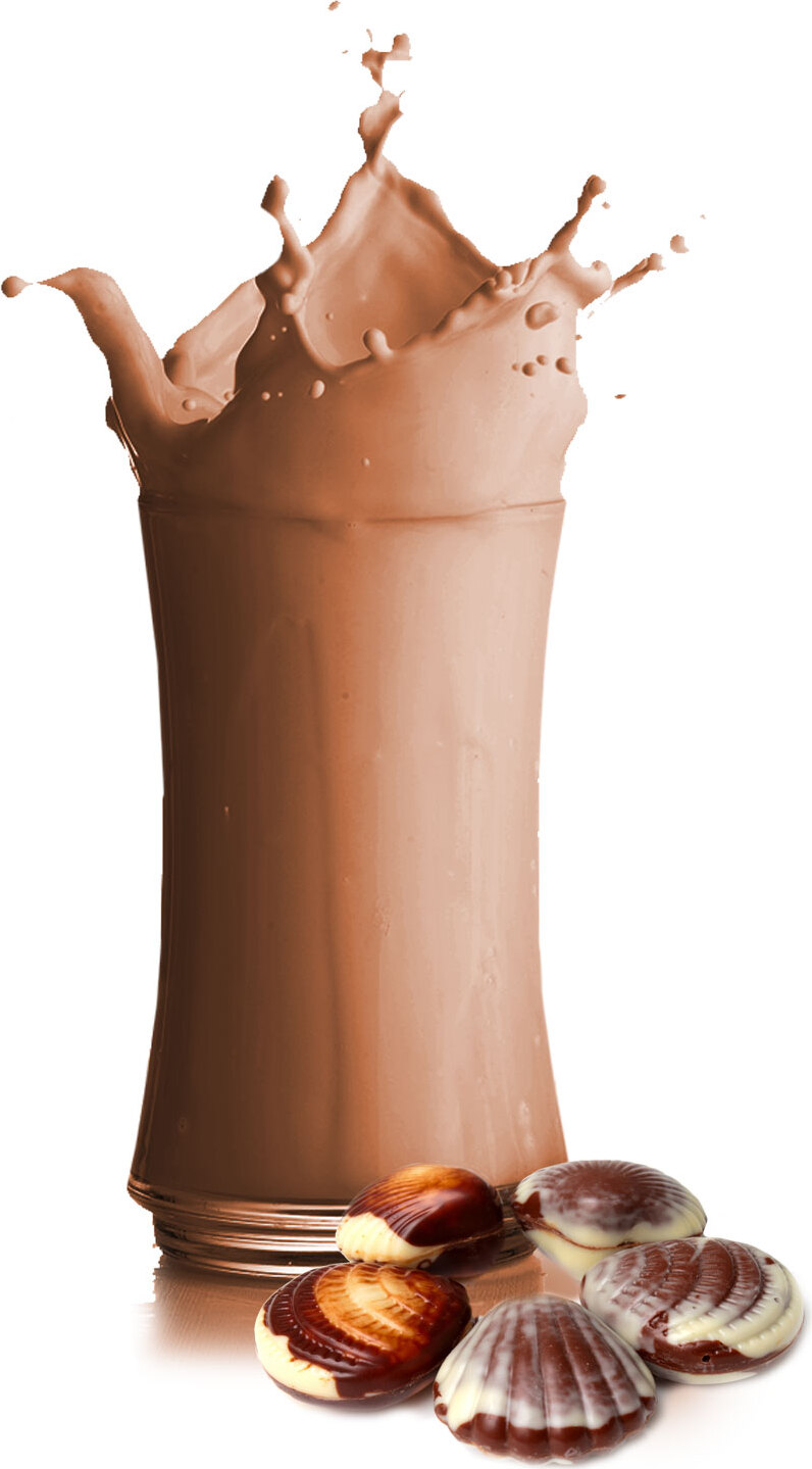 Gino Gelati Belgische Praline Milchshake Pulver 1 kg GG-MSP-105.1