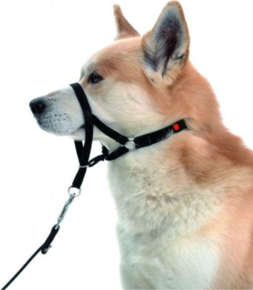 Karlie Anti-Zug-Halfter MASTERCONTROL Größe 6 23006