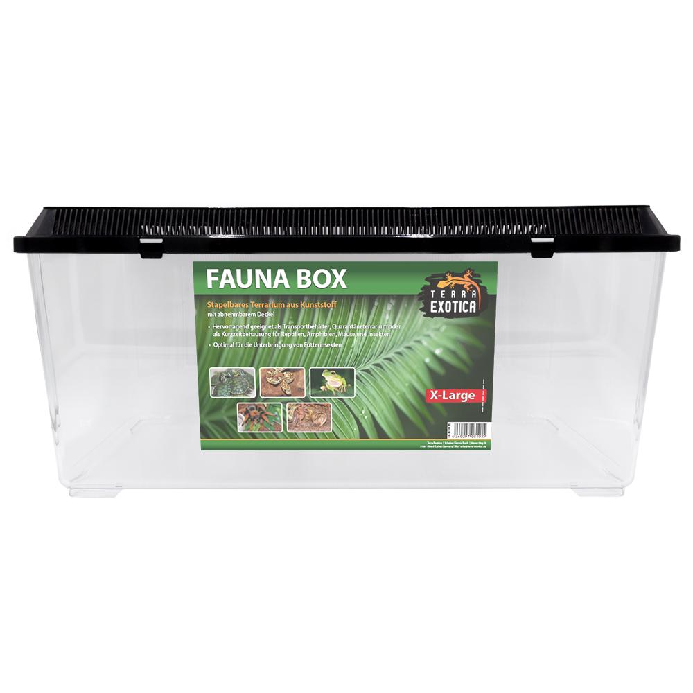 TERRA EXOTICA Fauna Box - Extra-large - 56 x 30,5 x 26 cm