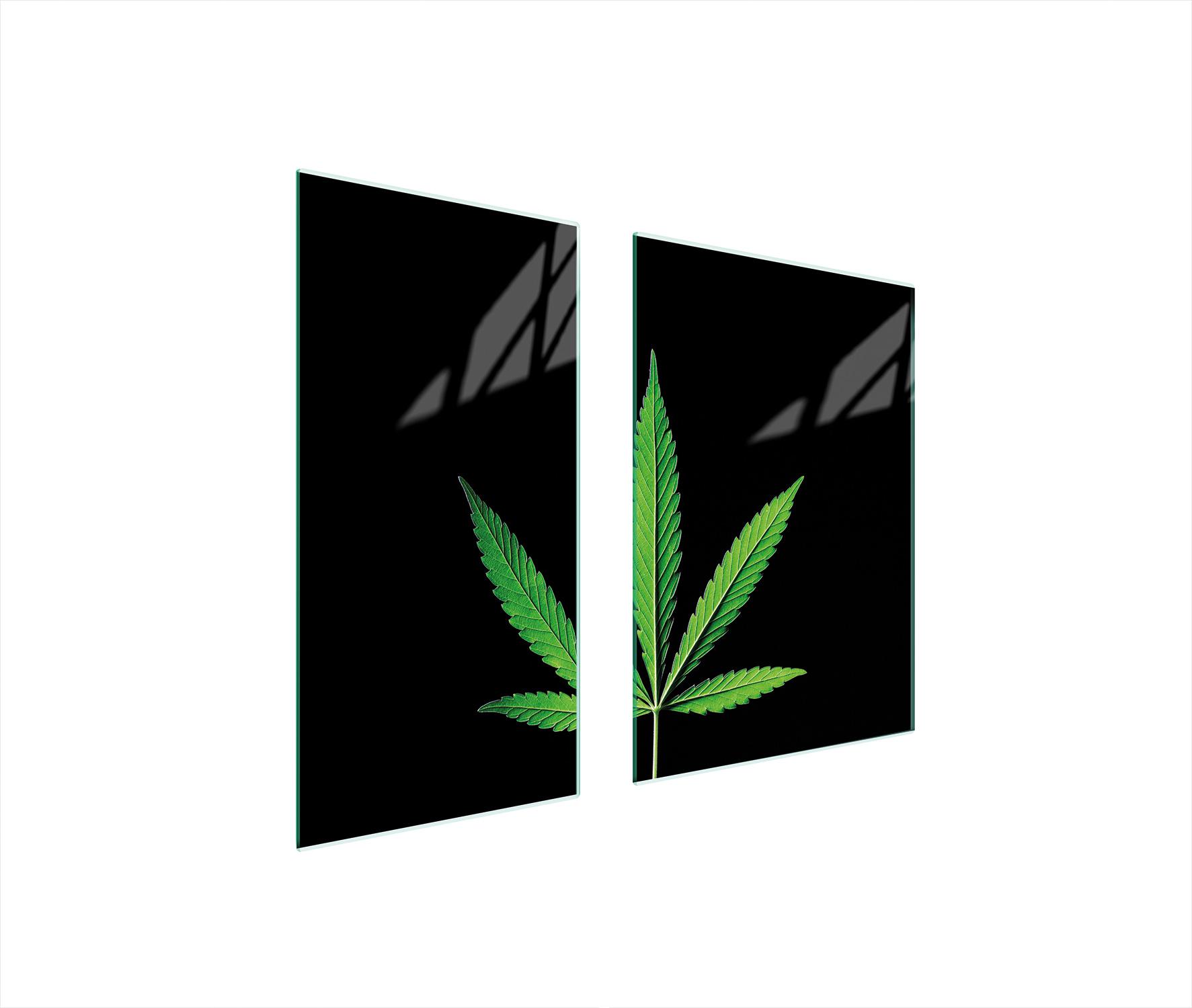 TMK ArtDeko Herdabdeckplatten 2 teilig 75x52 Glaskeramikkochfeld Abdeckung Glas Schneidebrett Laub Grün