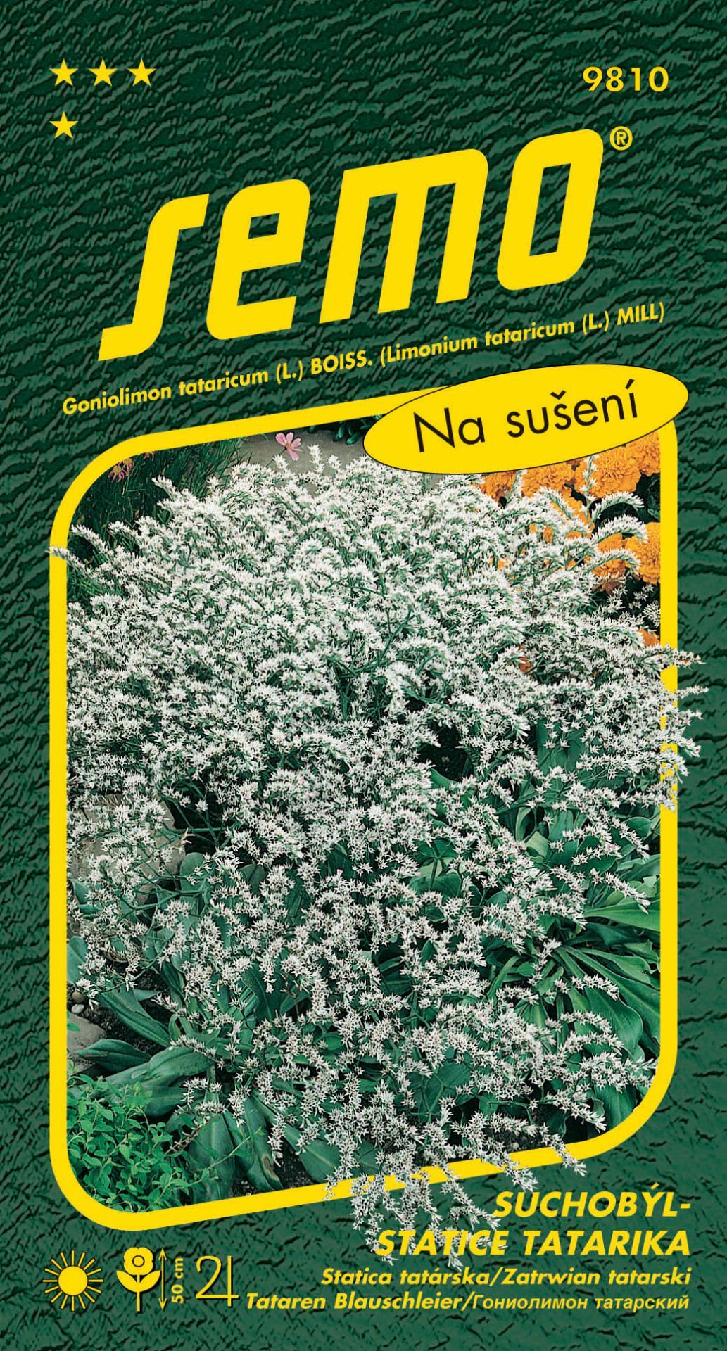 Semo Saatgut Statice tartar - Statice tartar weiß 0,2g