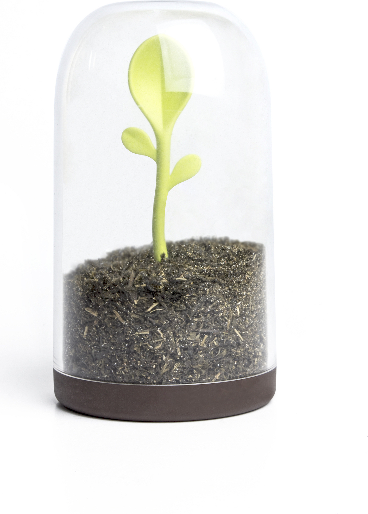 QUALY Vorratsdose Kunststoff Teedose Kaffeedose mit Teelöffel Braun SPROUT JAR QL10205