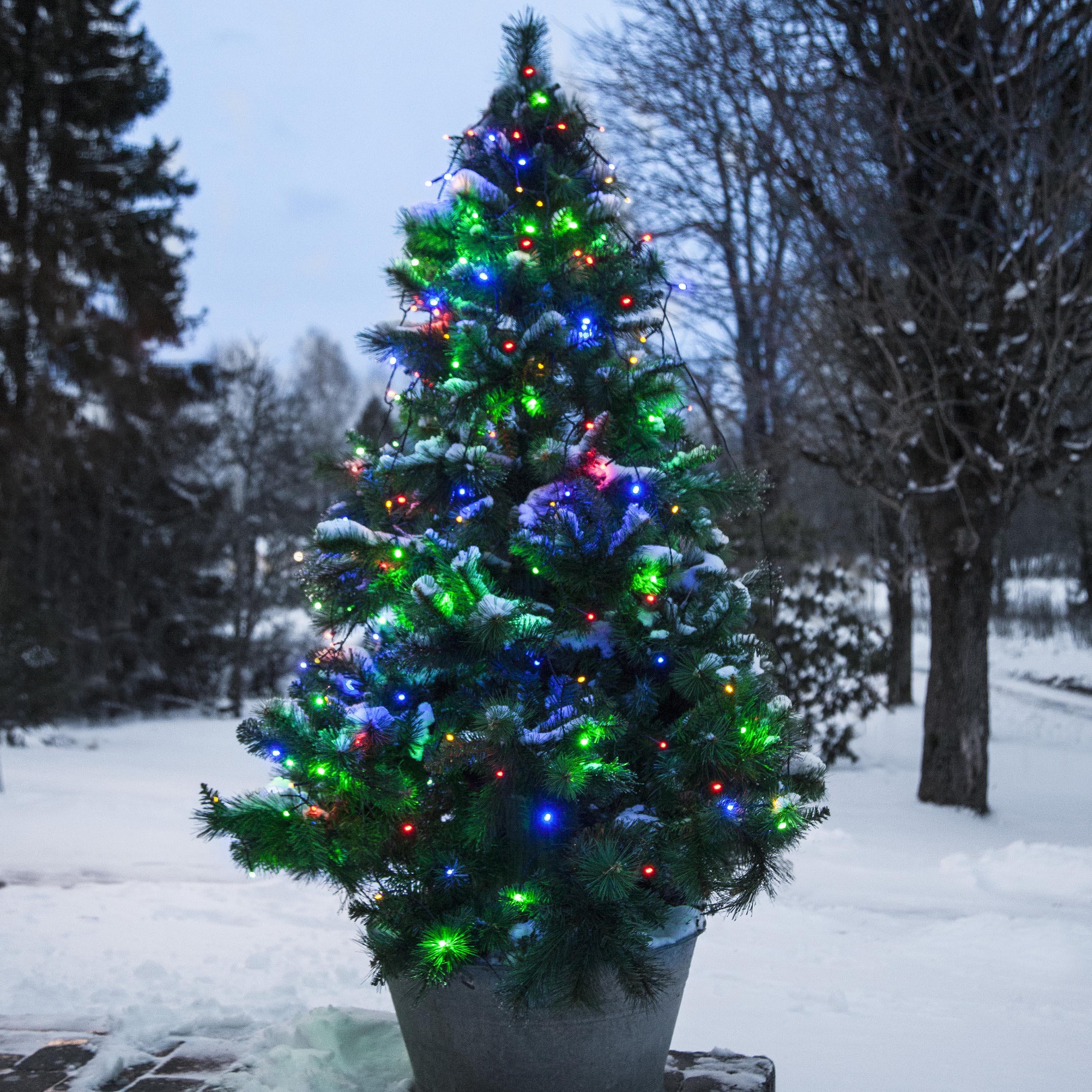 Star Trading LED-Weihnachtsbaumbeleuchtung - 2 Meter - RGB - 160 Leds 497-97