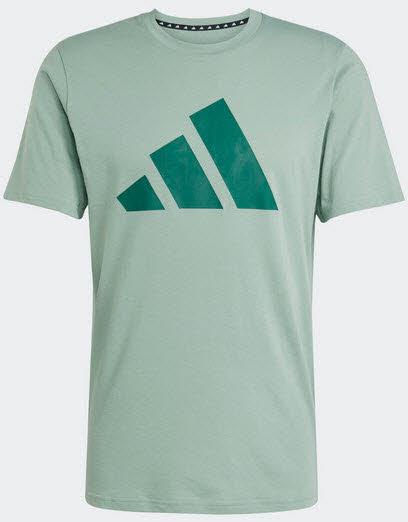Adidas TR-ES FR LOGO T Herren Sportshirt Grün M JC5344