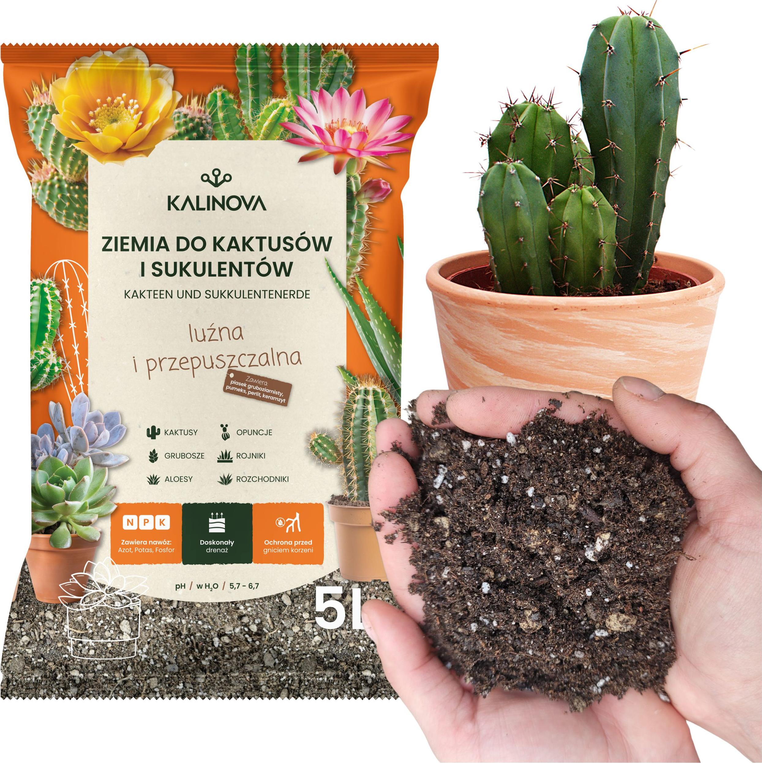 Blumenerde fr Kakteen und Sukkulenten 5l - Optimale