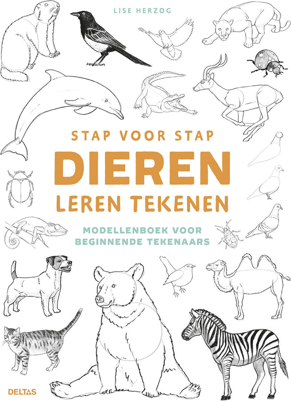Deltas lernen, Tiere Schritt für Schritt zu zeichnen 0101946
