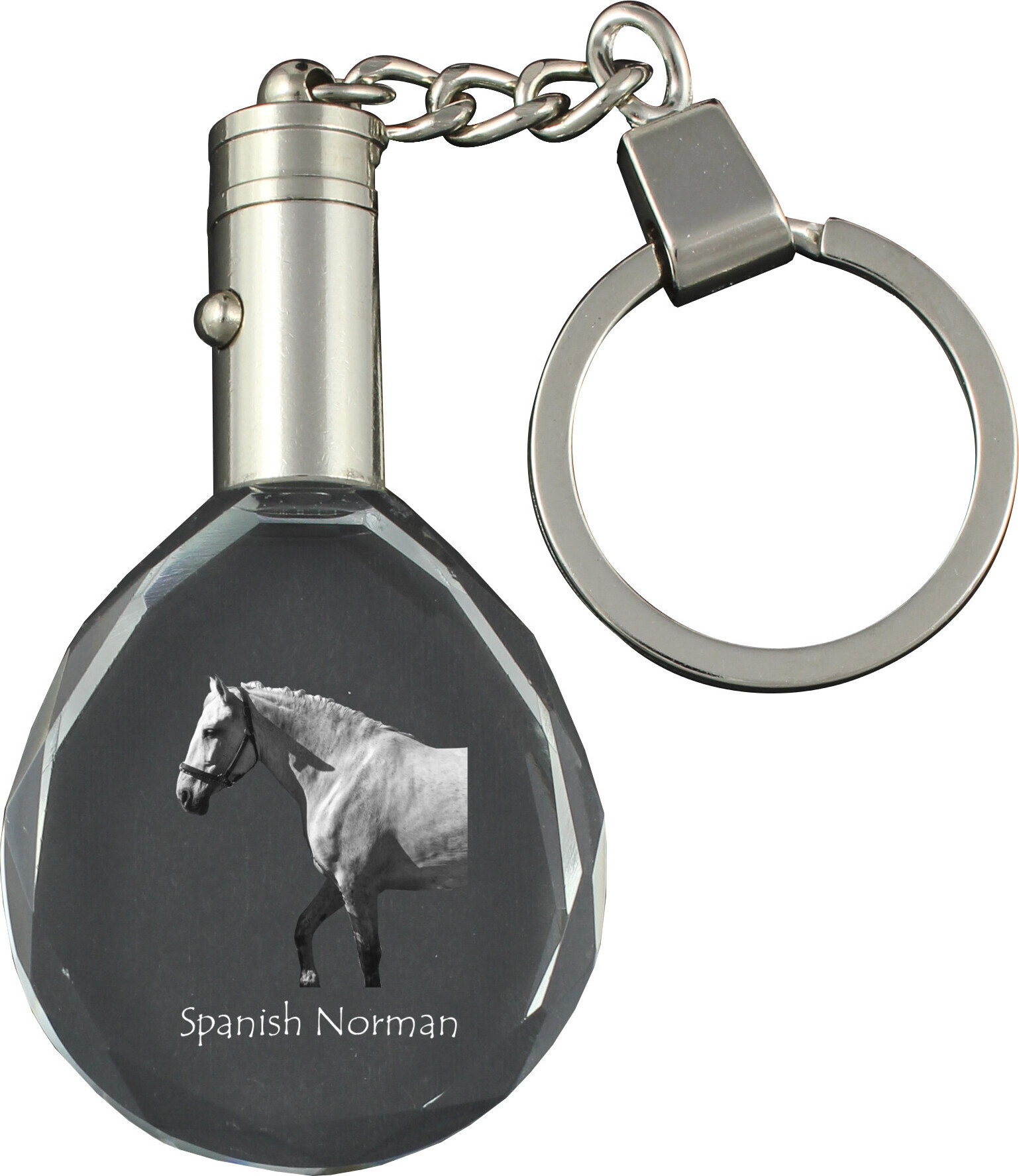 Spanischer Normanne - pendant with a picture of a horse, crystal key ring in a gift box, unique gift by Art-Dog brand