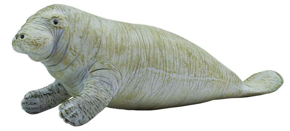 Safari Ltd Manatee Figur Grau From 3 Years Grau From 3 Years S273929-UNIT
