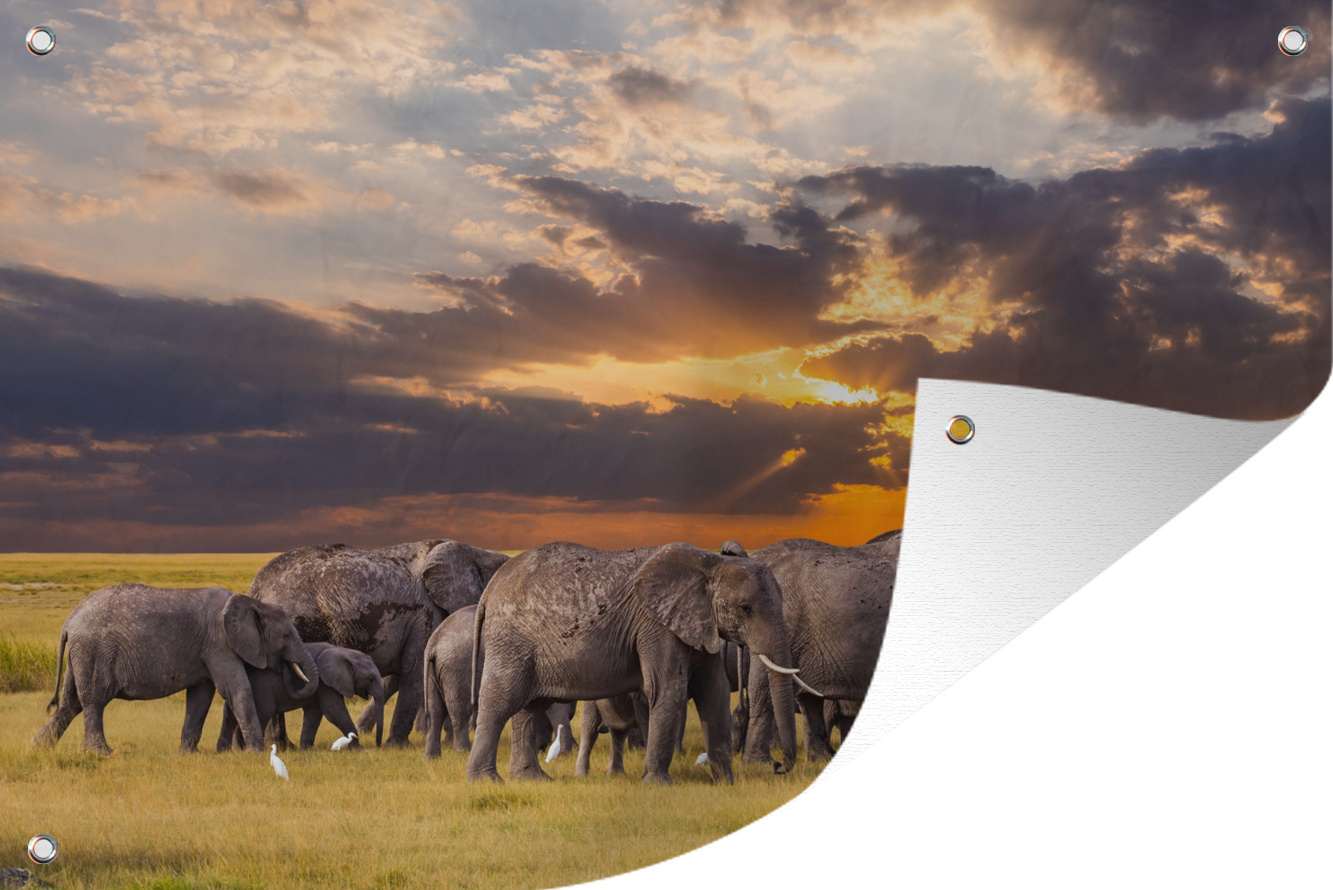 MuchoWow® 120x80 cm Outdoor-Poster Gartendeko Sichtschutz Garten Poster für den Garten Gruppe von Elefanten in der Savanne 133|17290214