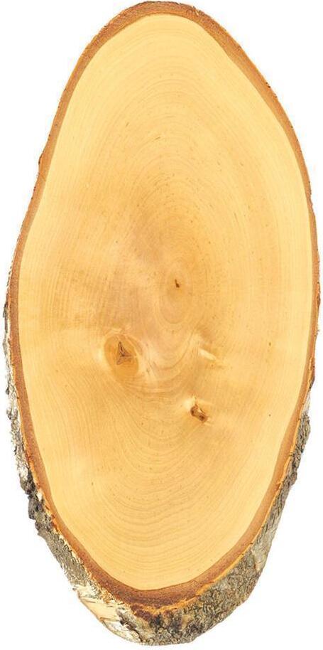 Eurohunt Birkenhirsch Trophäenteller Braun 45 x 22 cm Braun 45 x 22 cm 560890