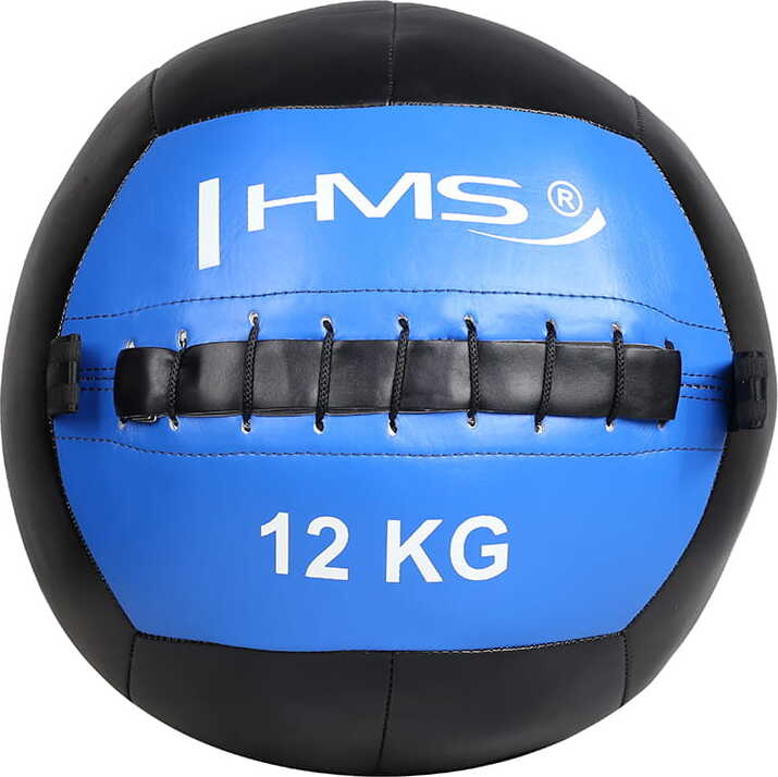 Wlb 12 Kg Wall Ball Hms Exercise Ball 17-41-029