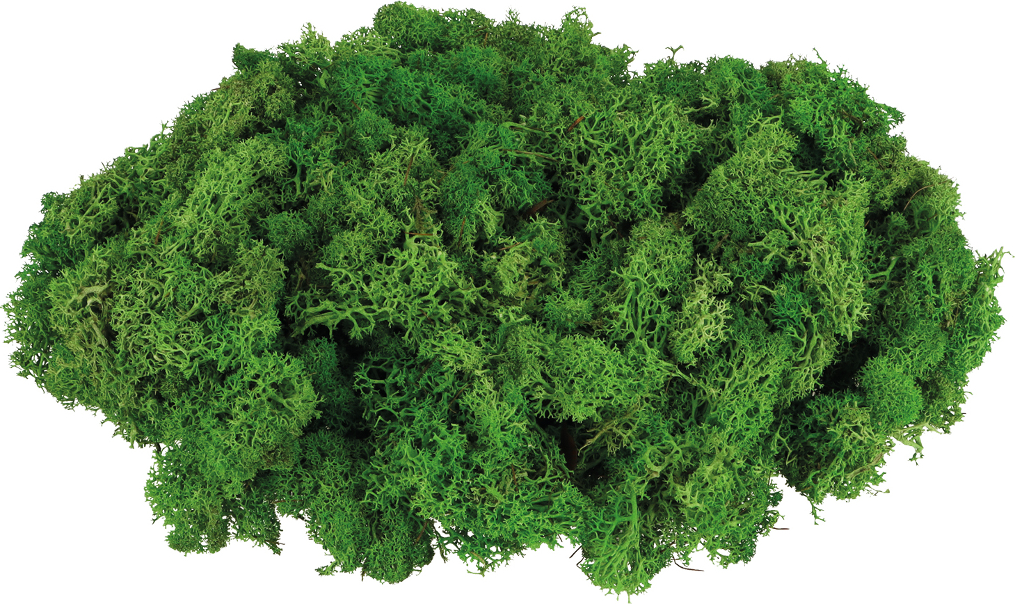 com-four® 250g Oster-Dekomoos – Bastel-Moos, Naturmoos, echtes Deko-Moos zum Basteln & Dekorieren, Moos für Osterdeko, Frühling, Tischdeko, Kränze, Nester, Modellbau & Natur CF18184