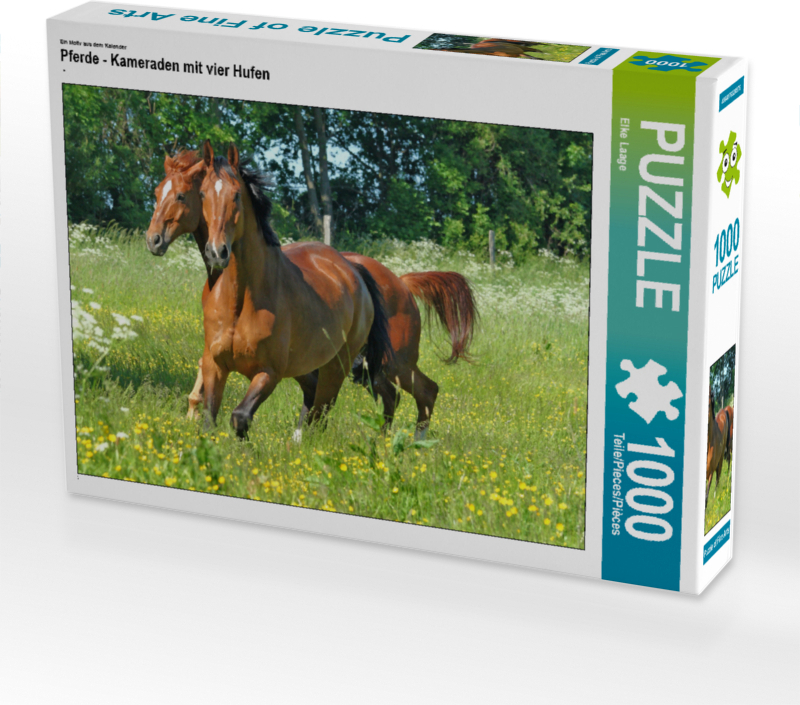 CALVENDO Puzzle Pferde - Kameraden mit vier Hufen 1000 Teile Lege-Größe 64 x 48 cm Foto-Puzzle Bild von Laage Elke
