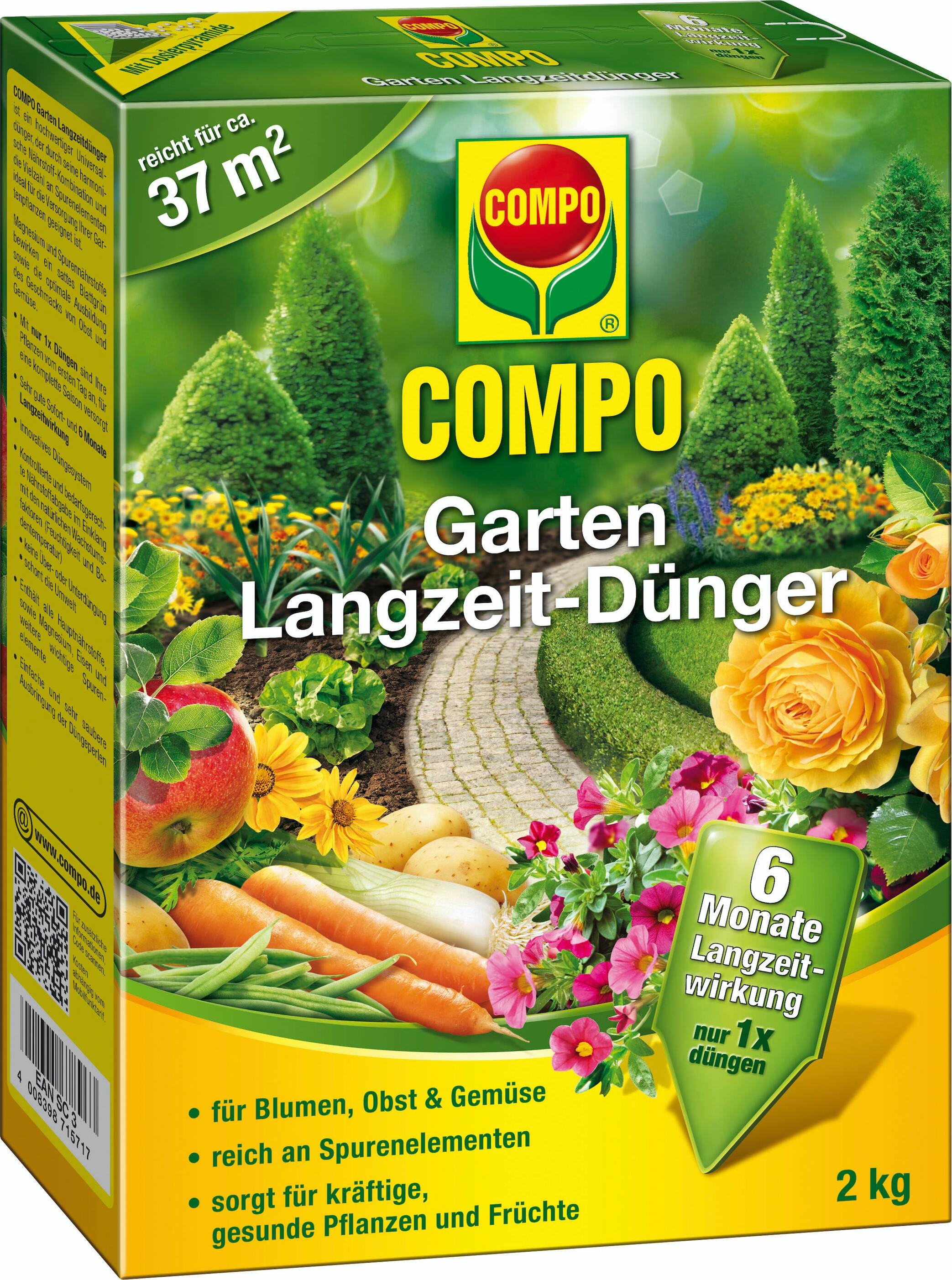 zimmerpflanzen lichtarm Zimmerpflanzen fr wenig Licht im Set kaufen
