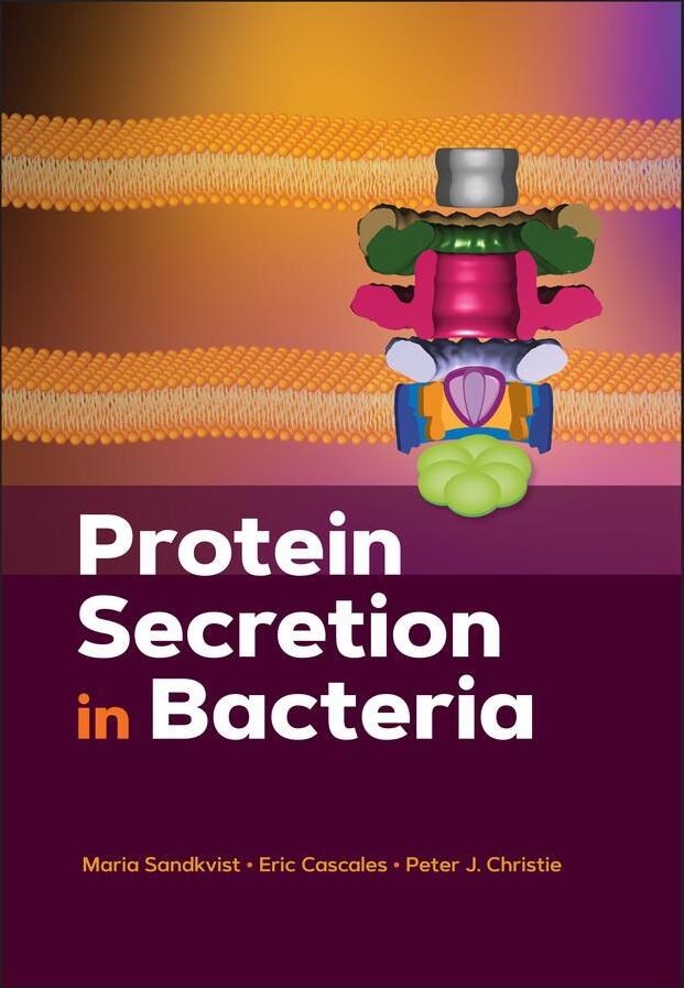 Sonstige Verlage Protein Secretion in Bacteria