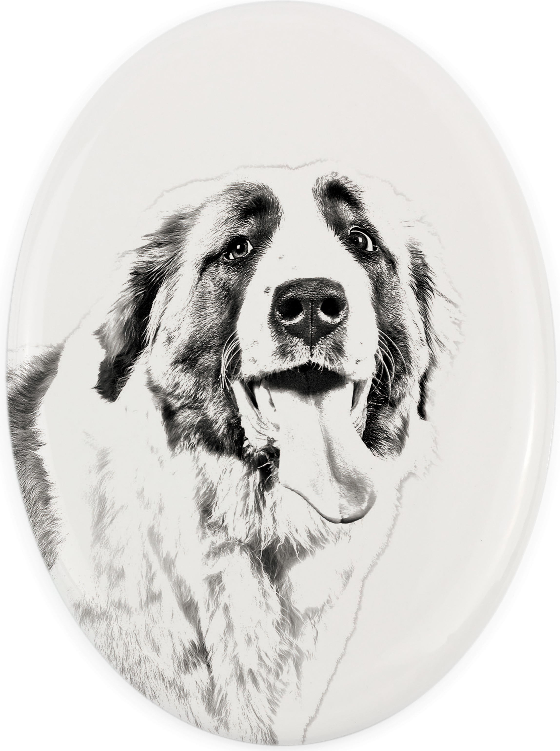 St. Bernhardshund, Bernhardiner - Gedenktafel mit einem Foto eines Hundes, Grabplatte mit Druck, personalisierte ovale Platte der Marke Art-Dog