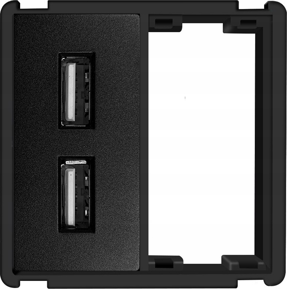 Steckplatzmodul schwarz USB 2x 2,4A RTX SH-System