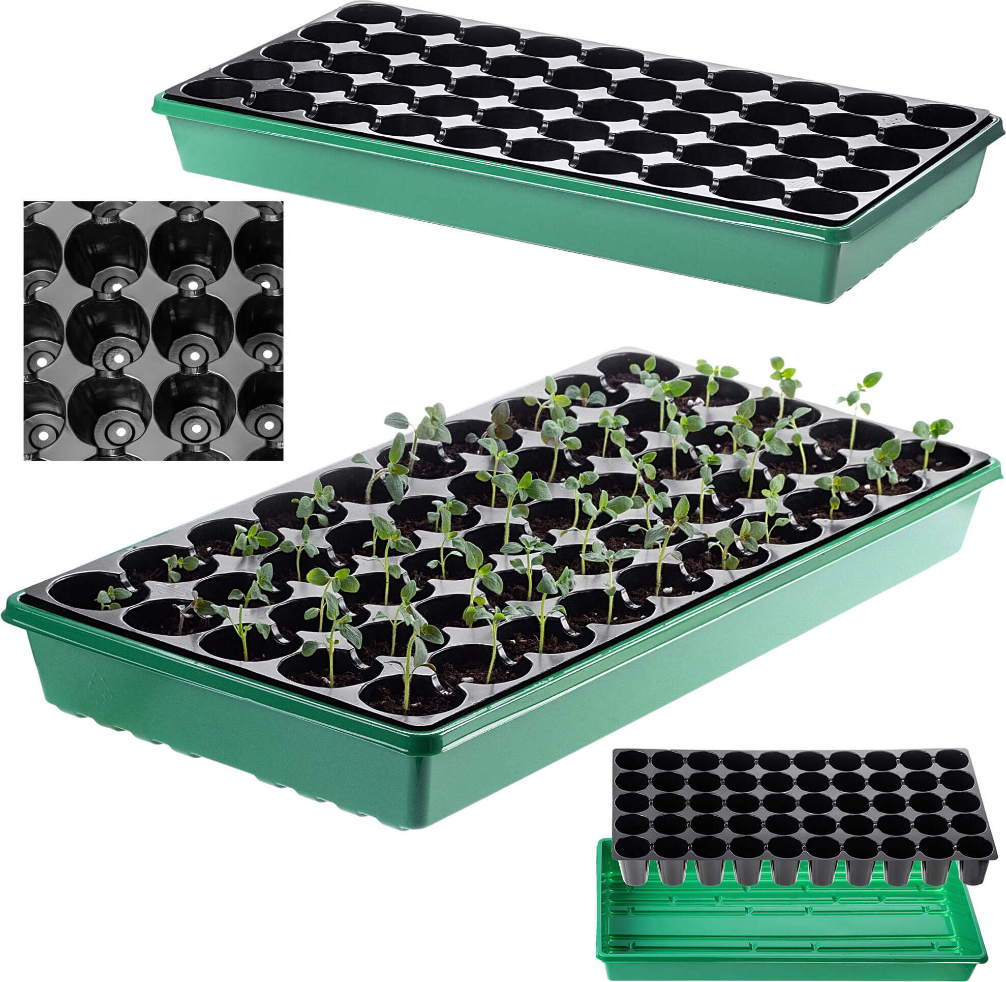 KADAX großes Mini-Gewächshaus, Mini-Treibhaus, Treibhaus, 50 Zellen, Keimkasten