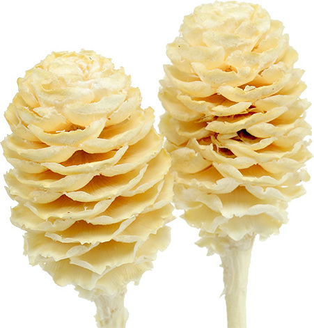 Viana Gebleichte Sabulosum-Trockenblumen, Deko-Zweige für Tischgestecke und Trauerfloristik, 25 Stück 19B