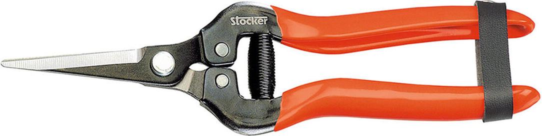 Stocker Spezial-Fichtenspitze mit Spitze. Länge: 19 cm – Aufbewahren 79007-UNIT