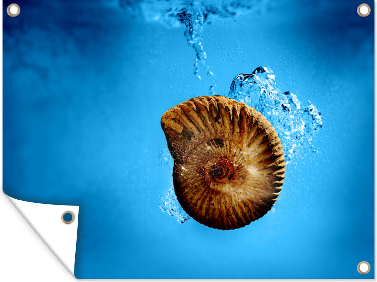 MuchoWow® 133|41540765