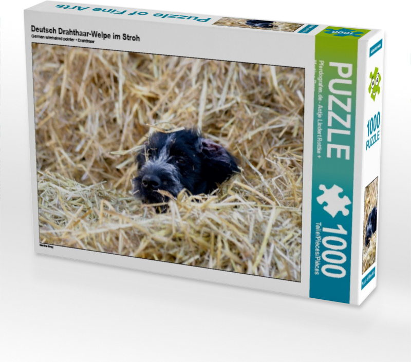 Calvendo Deutsch Drahthaar-Welpe im Stroh 1000 Teile Puzzle quer 640x480mm, ; 7380776