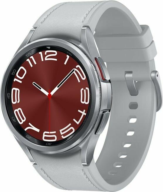 Samsung SM-R955FZSAEUE Smartwatch Silver Grey 43 mm