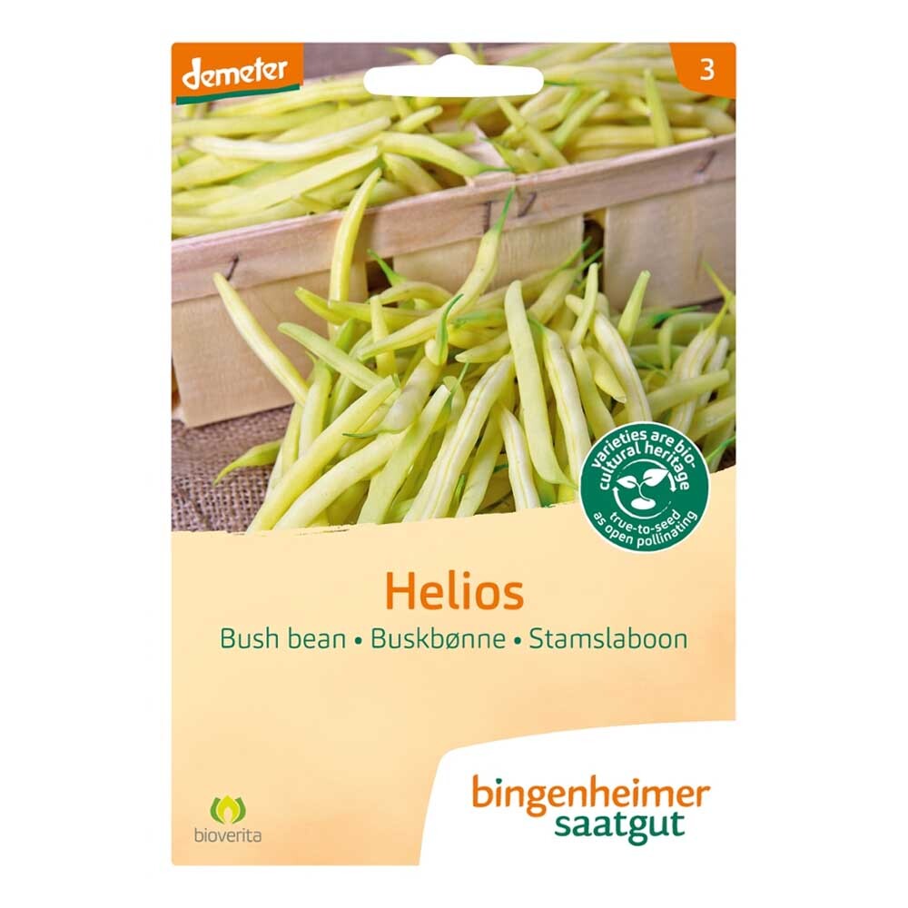 Bingenheimer Saatgut Helios - Buschbohne