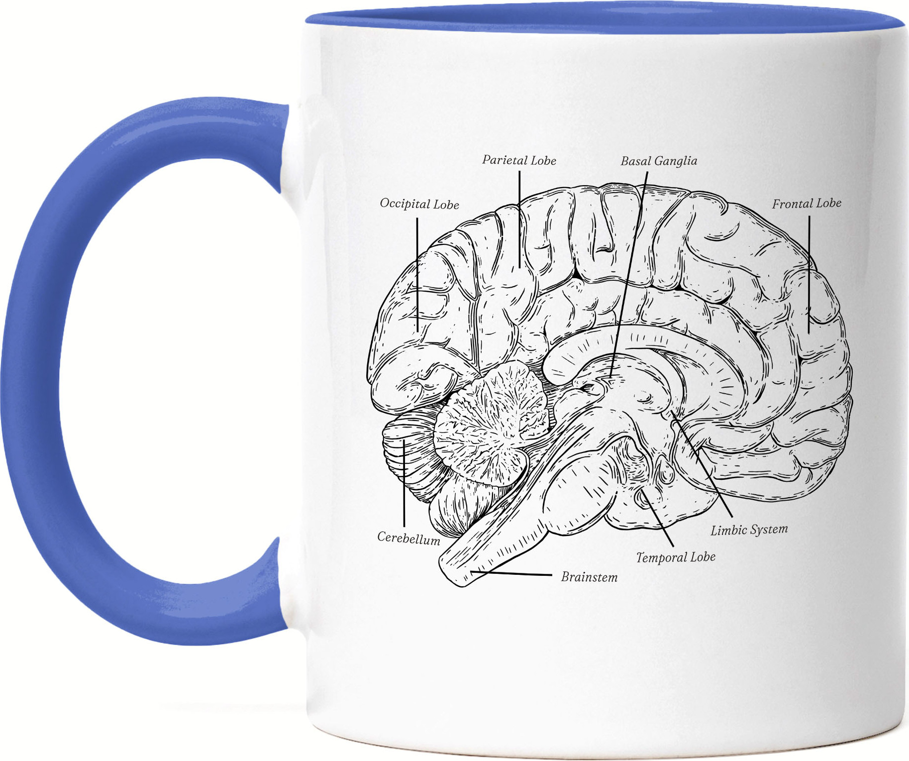 Hey!Print Gehirn Tasse Blau Nervensystem Rechte Linke Gehirnhälfte Gedächtnis Hirn Nerven Gehirnzellen Logik Medizin Studium HP-1885-T-Blau