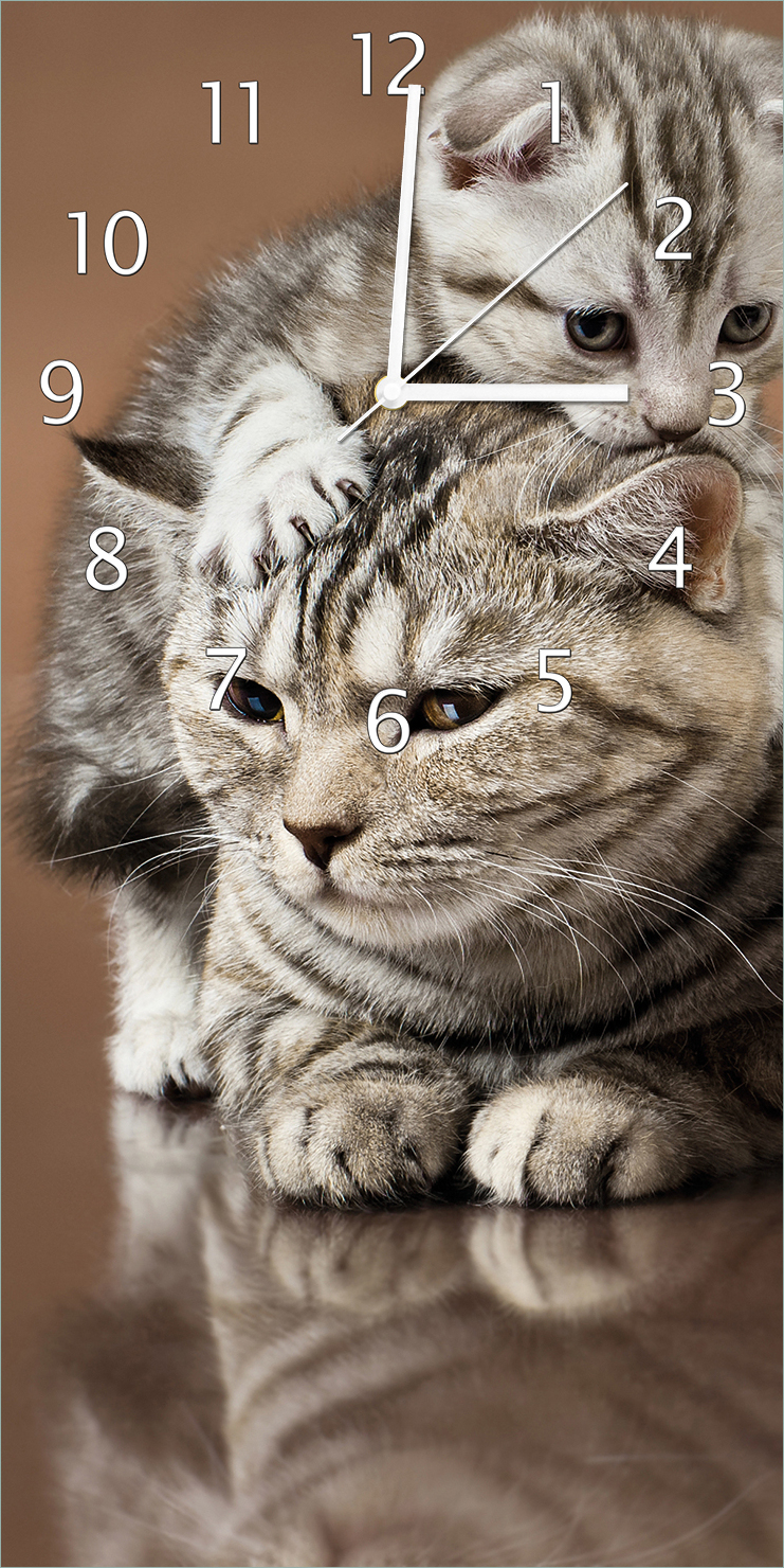 Wallario Design Wanduhr Katzenfamilie aus Echtglas, Größe 30 x 60 cm guk5118-3060