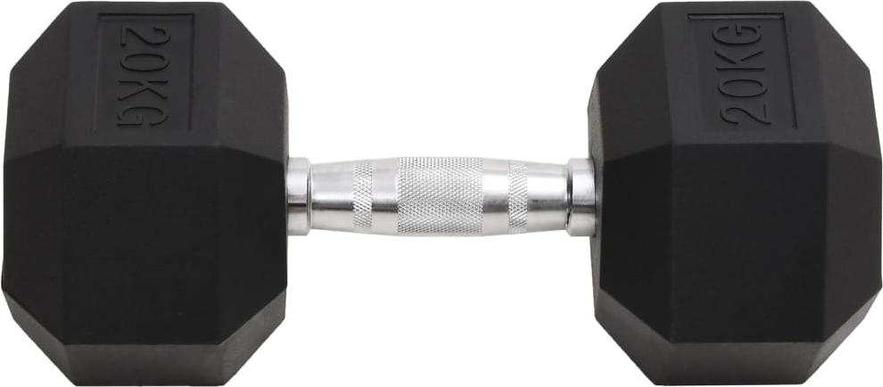 vidaXL Kurzhantel 20 kg Gusseisen 93608
