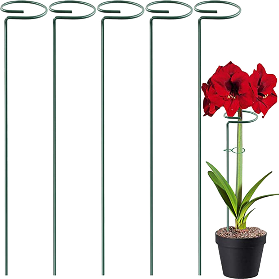 Jormftte stücke Anlage Unterstützung Stakes Garten Einzigen Stamm Unterstützung Stake Amaryllis Anlage Käfig Unterstützung Ringe KAU-LR-HT-CPK-PH-20250630-83