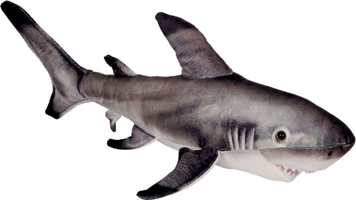 Die Spiegelburg Coppenrath Verlag GmbH & Co.KG Schwarzspitzen-Riffhai - Nature Zoom Wild 22571