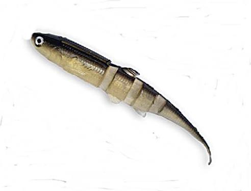 Castaic Super Jerky 4,25 Golden Shiner